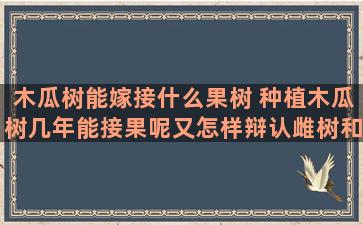 木瓜树能嫁接什么果树 种植木瓜树几年能接果呢又怎样辩认雌树和雄树呢